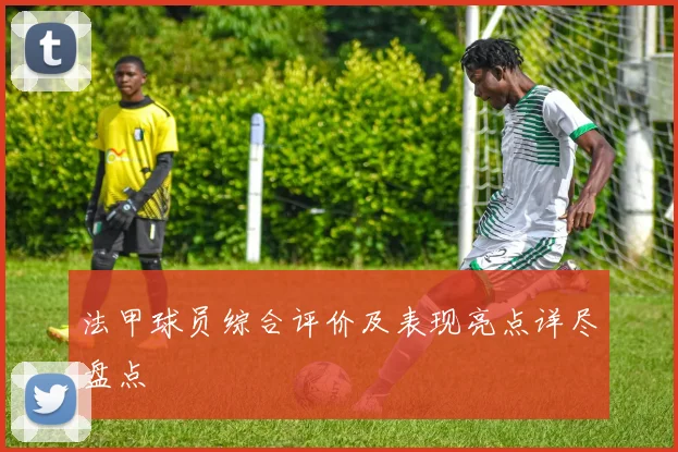 法甲球员综合评价及表现亮点详尽盘点
