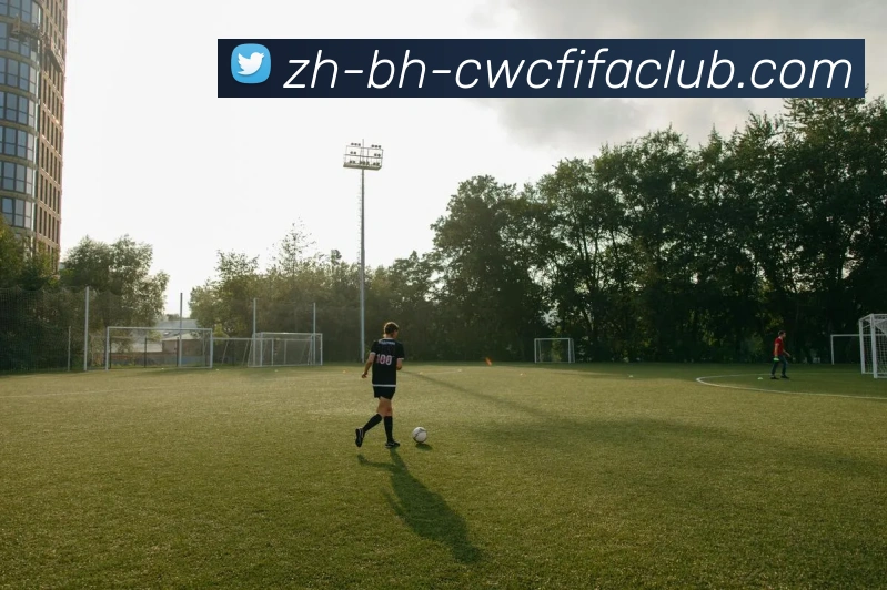 App Interface Preview