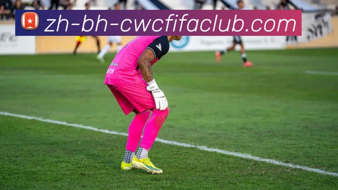 世界杯竞猜APP 封面图